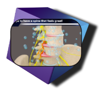 Berry Creative Samples Icon