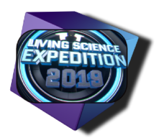 Berry Creative Samples Icon